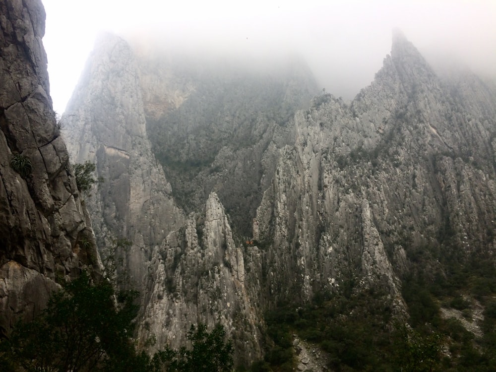 rocky mountain covered by fog