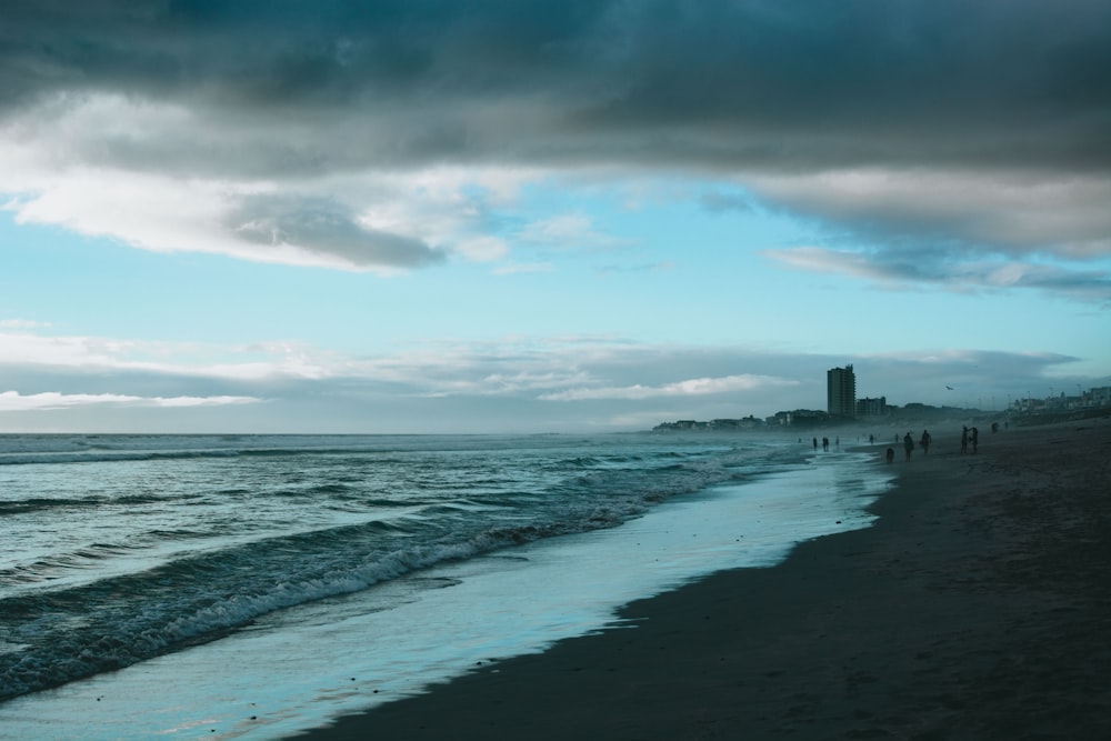 photo of seashore during daytime