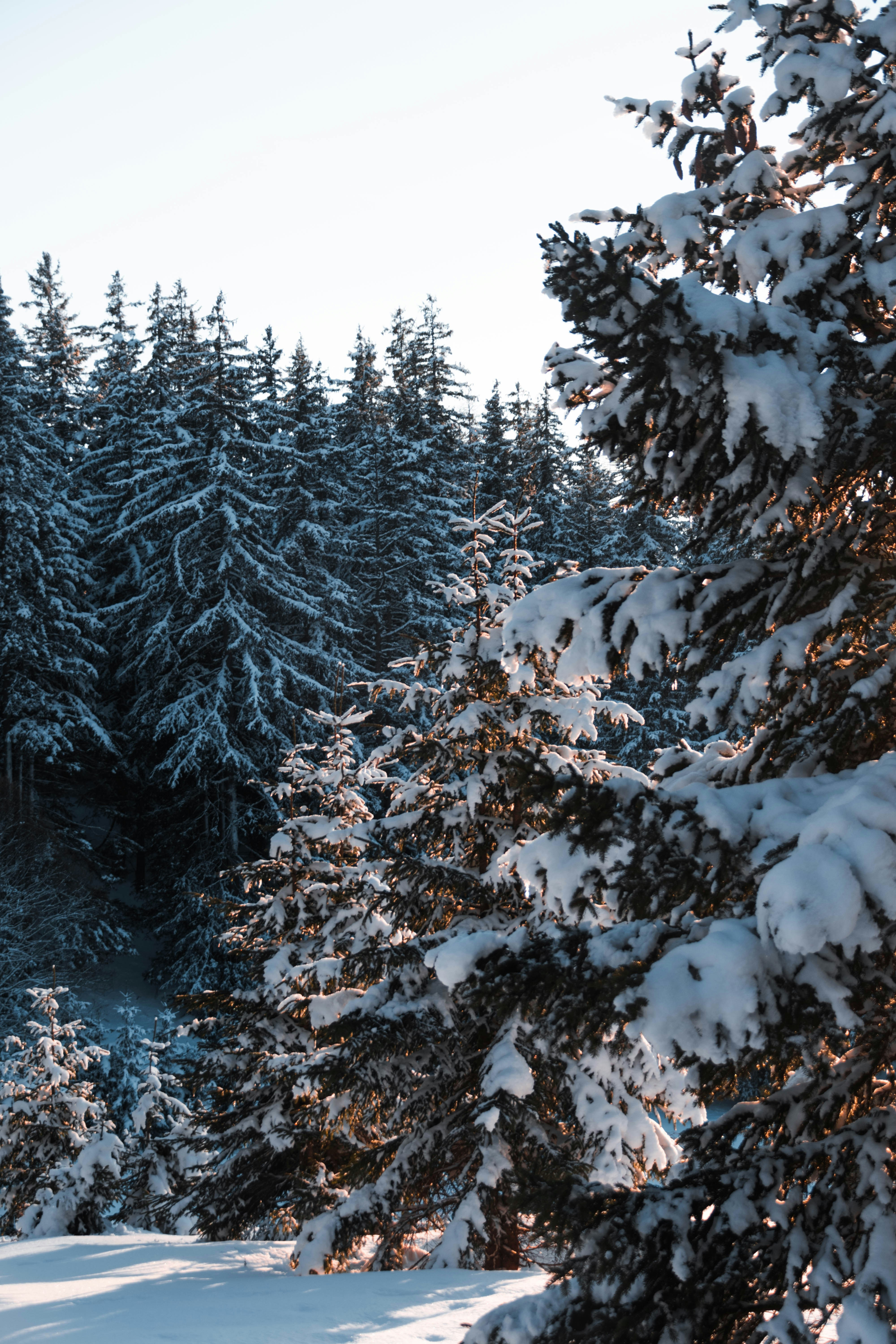 Photo by virussinside