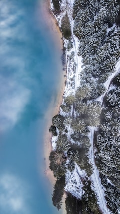 An aerial view captures a tranquil lake with turquoise water bordered by snow-covered trees. A thin strip of sandy shore separates the water from the dense forest, which appears frosty and serene.