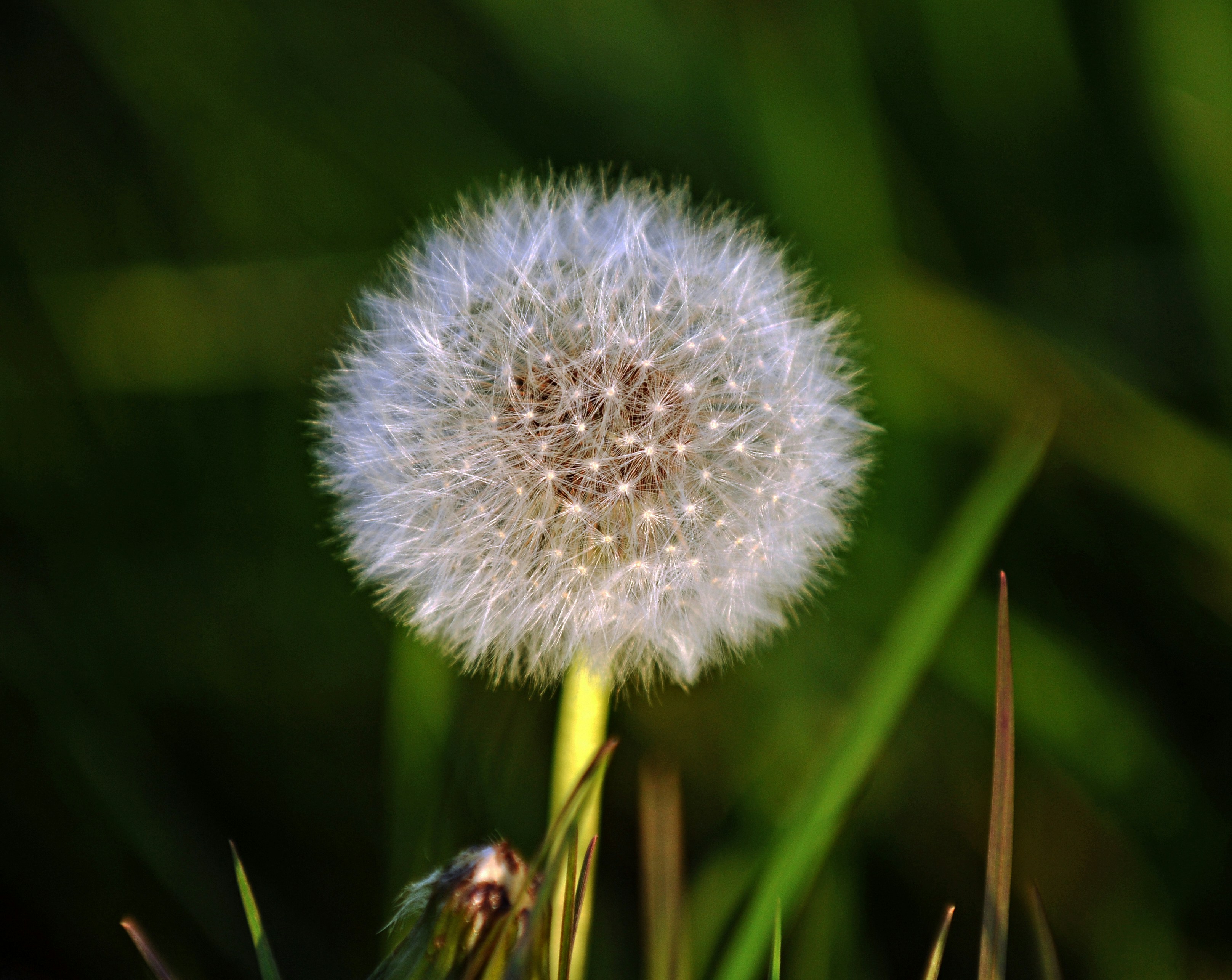 Photo by ancientwanderer