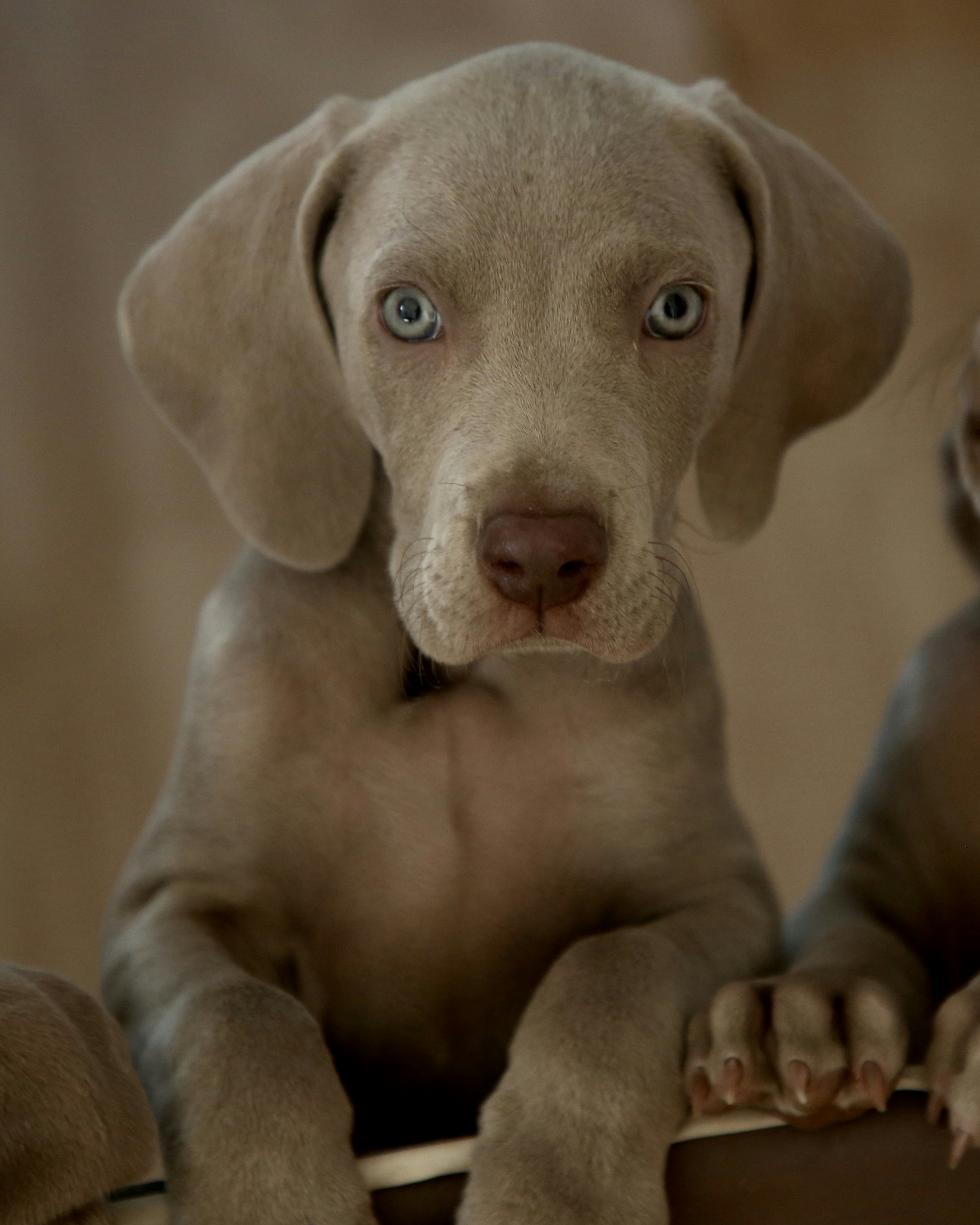 Photo by nathalie_spehner