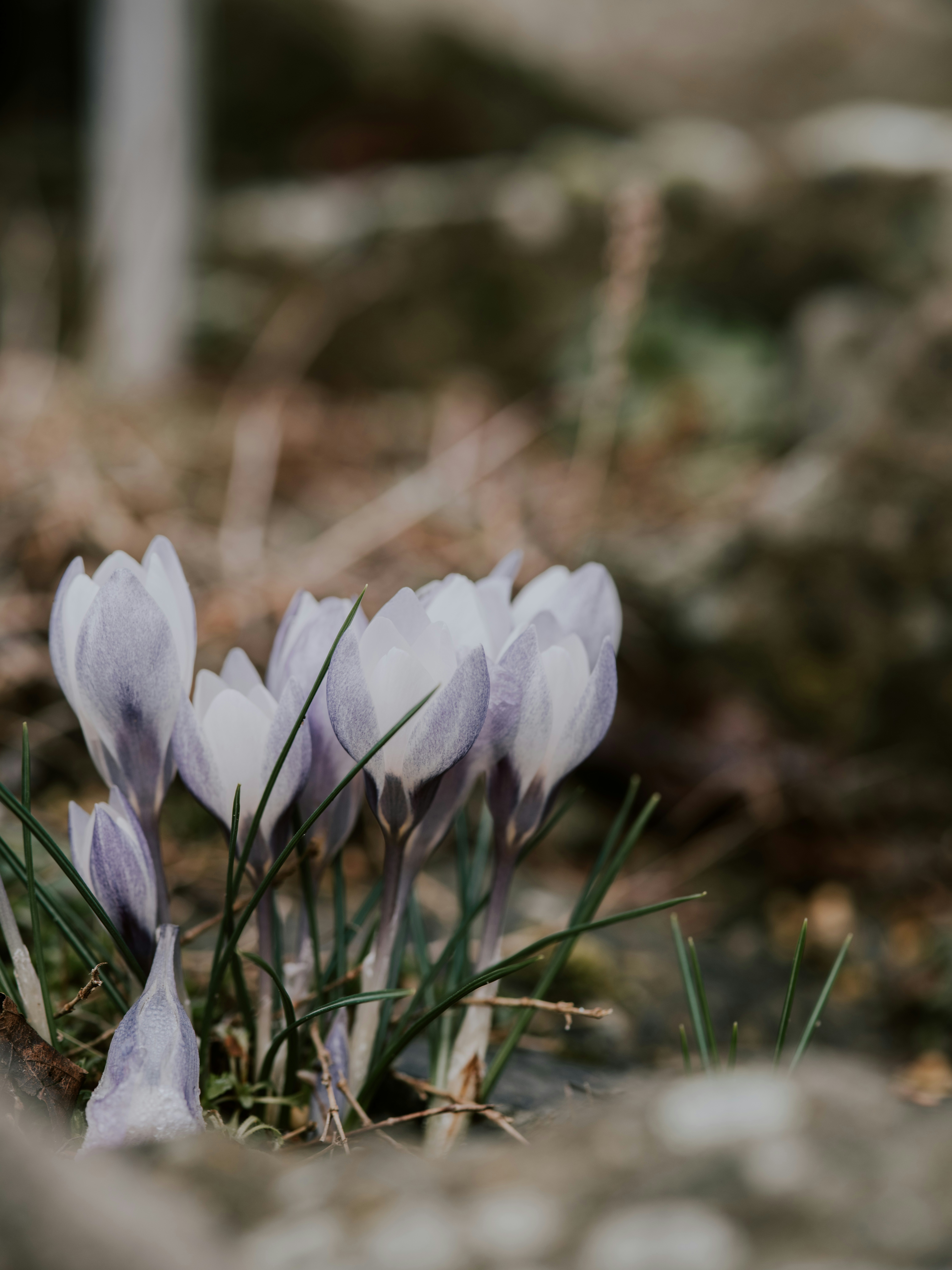 Photo by anniespratt