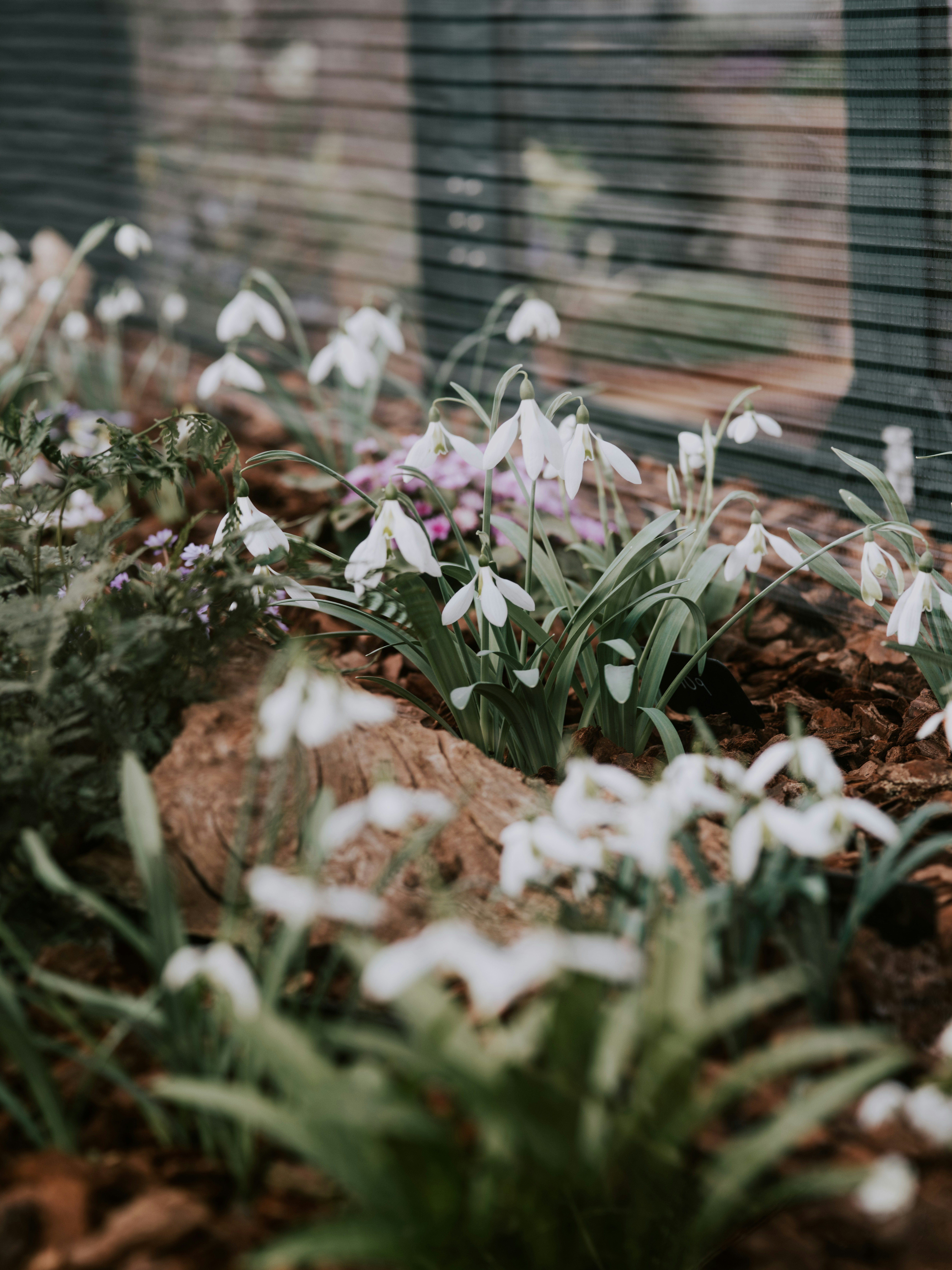 Photo by anniespratt