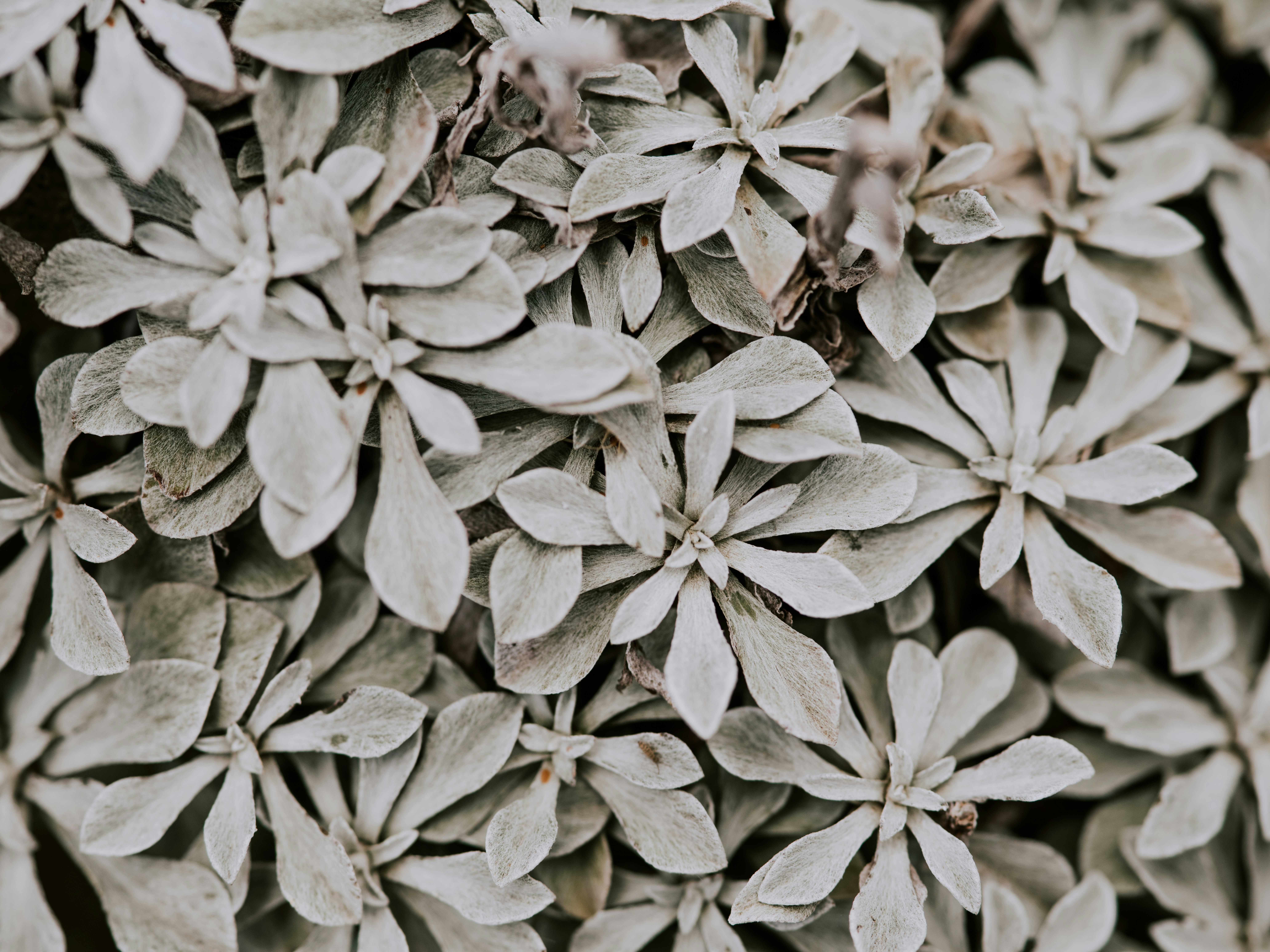 Photo by anniespratt