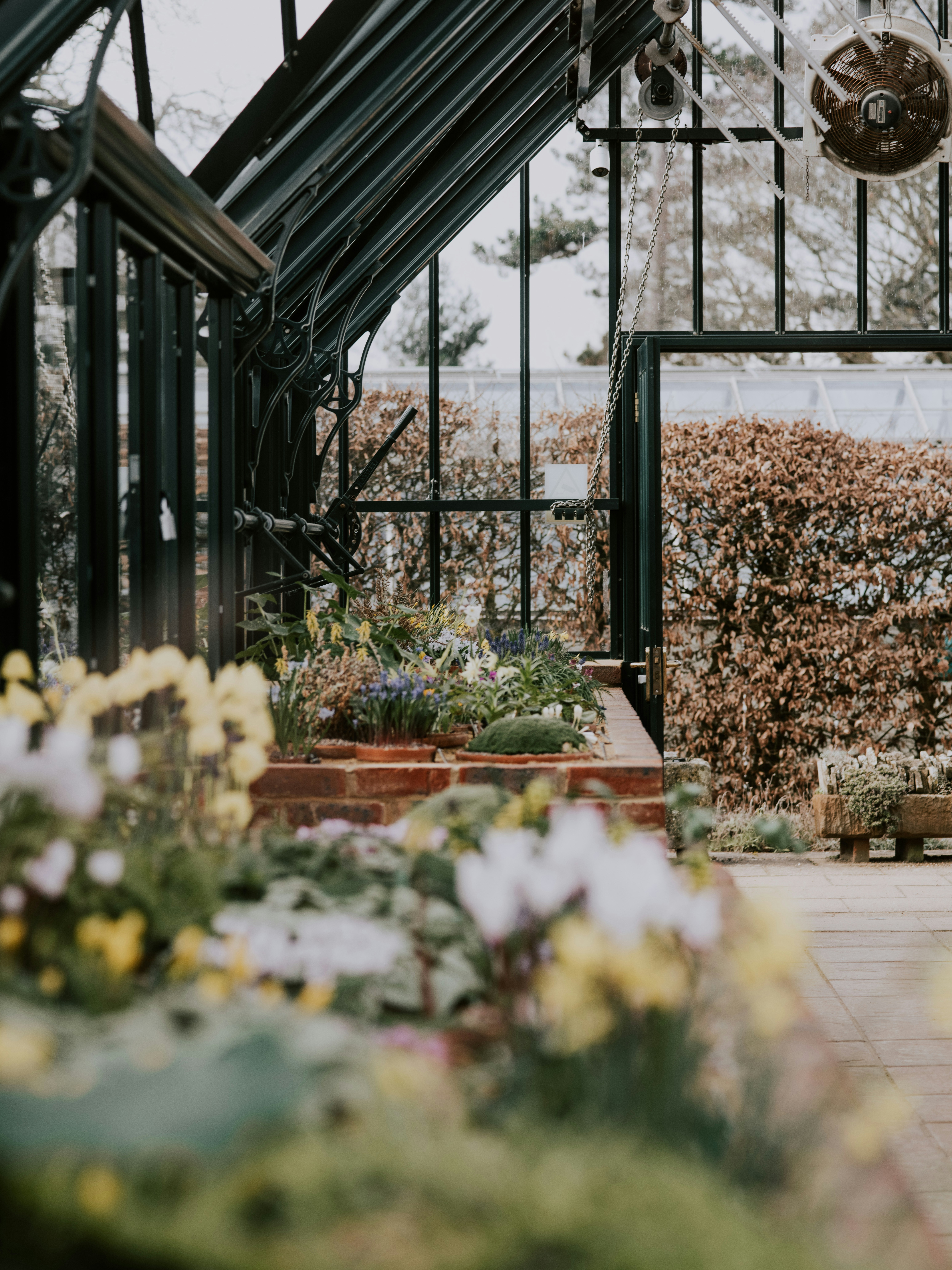 Photo by anniespratt