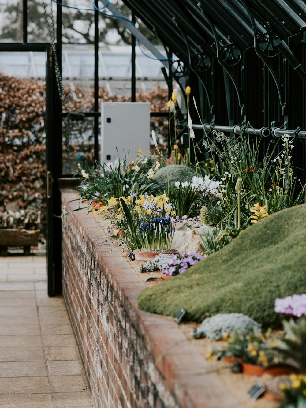 assorted-colored flowers garden