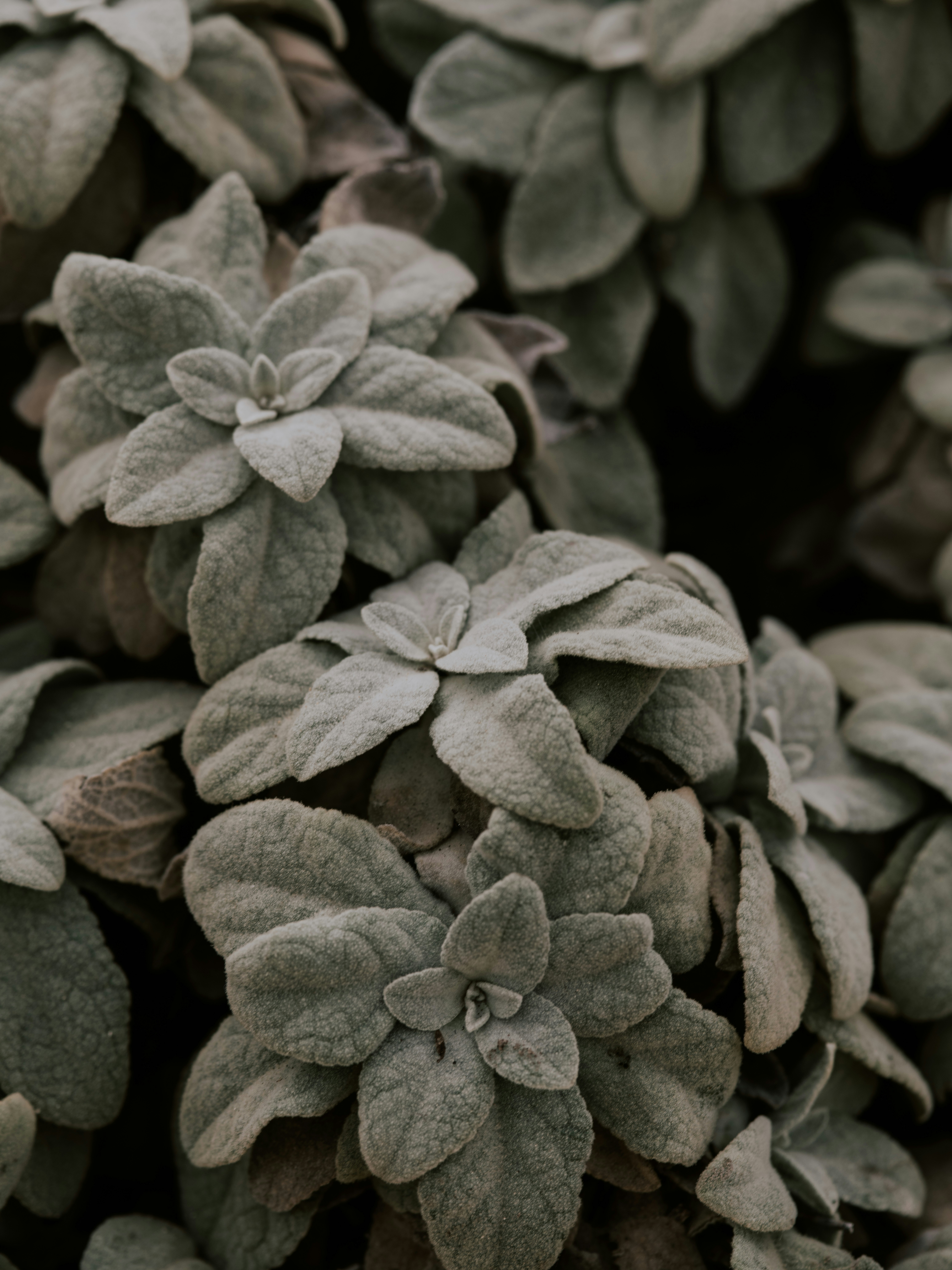 Photo by anniespratt