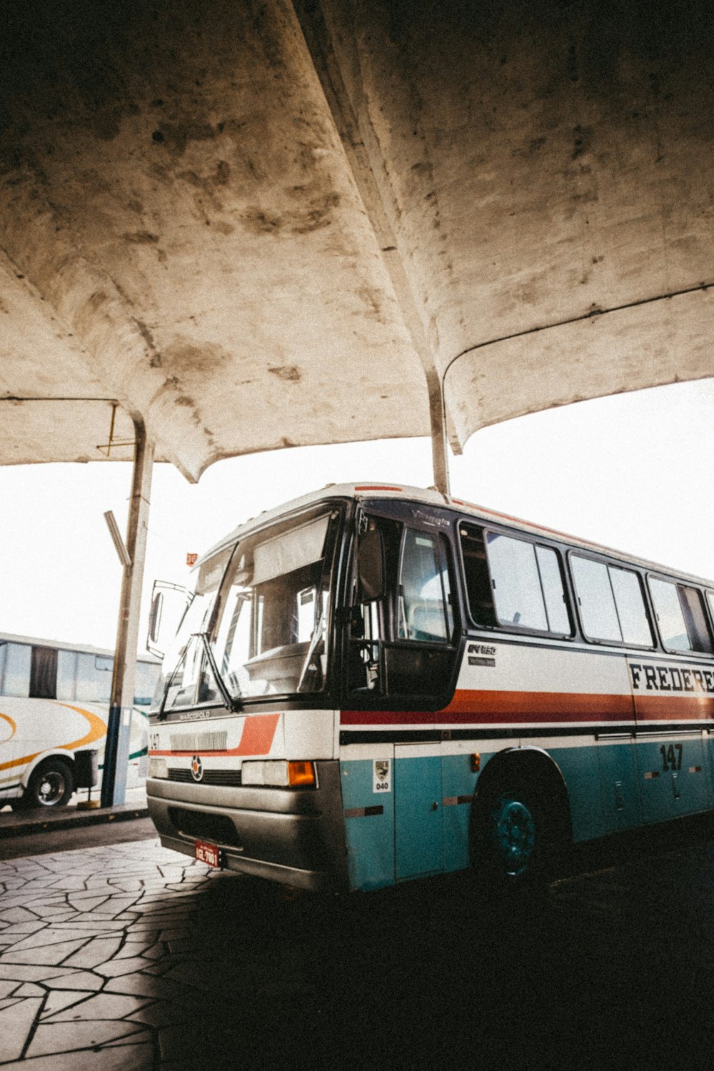 white and red bus