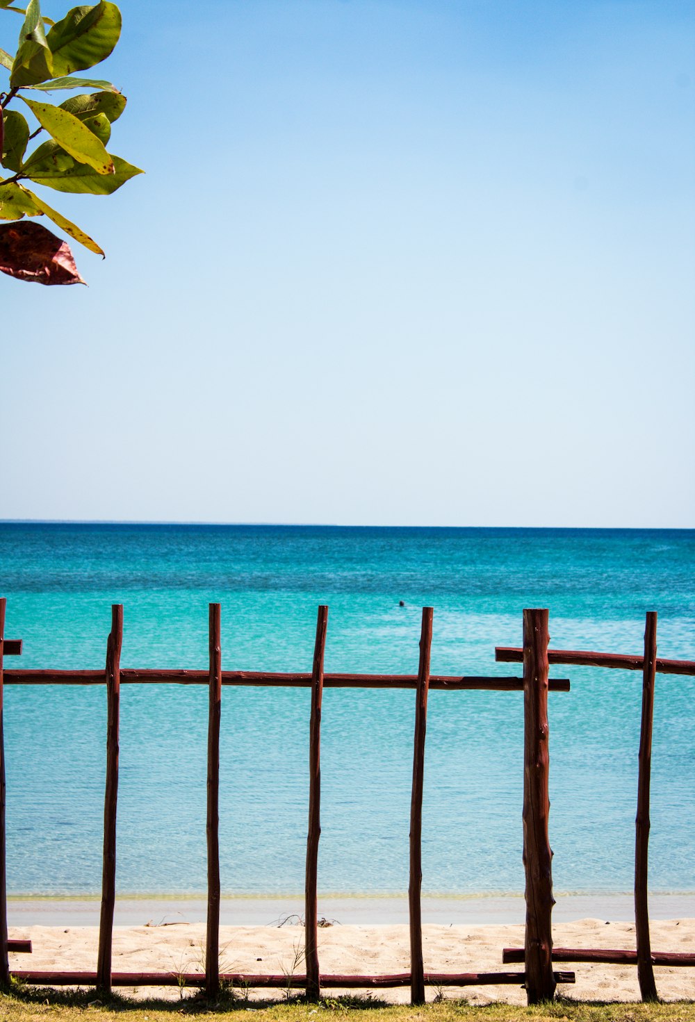 brown wooden fence