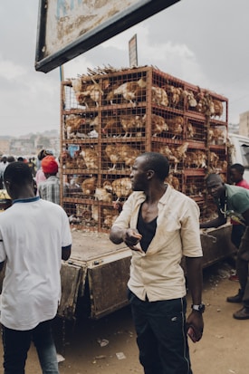 A man stands in front of a truck loaded with multiple cages filled with chickens. Several people are gathered around the vehicle, engaging in what appears to be a market or trading scene. The atmosphere is busy and there are scattered objects on the ground.