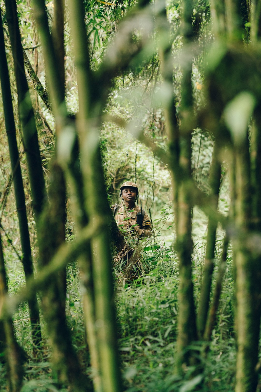 girl standing surrounded with green trees