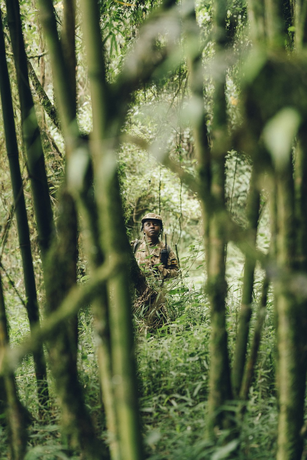 girl standing surrounded with green trees