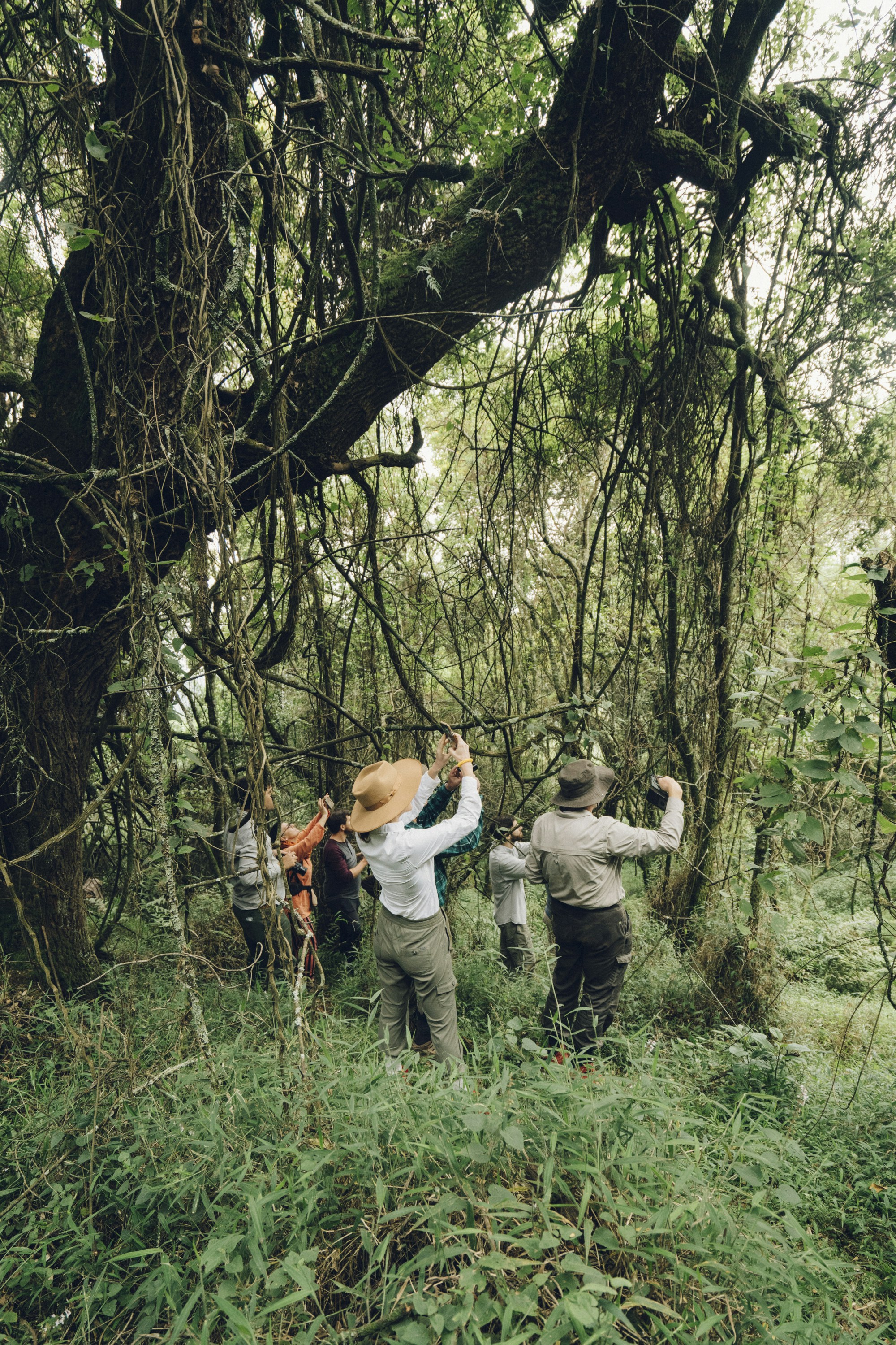 people taking photo in middle of woods during daytimr