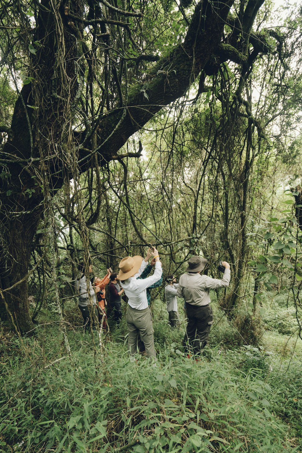 people taking photo in middle of woods during daytimr