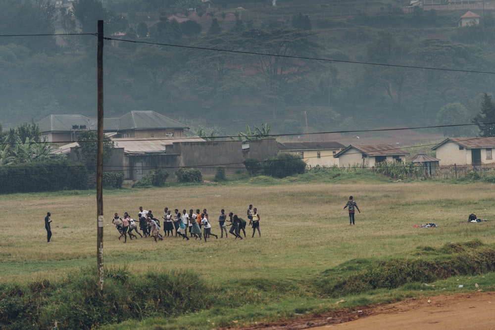 group of people on green grass field