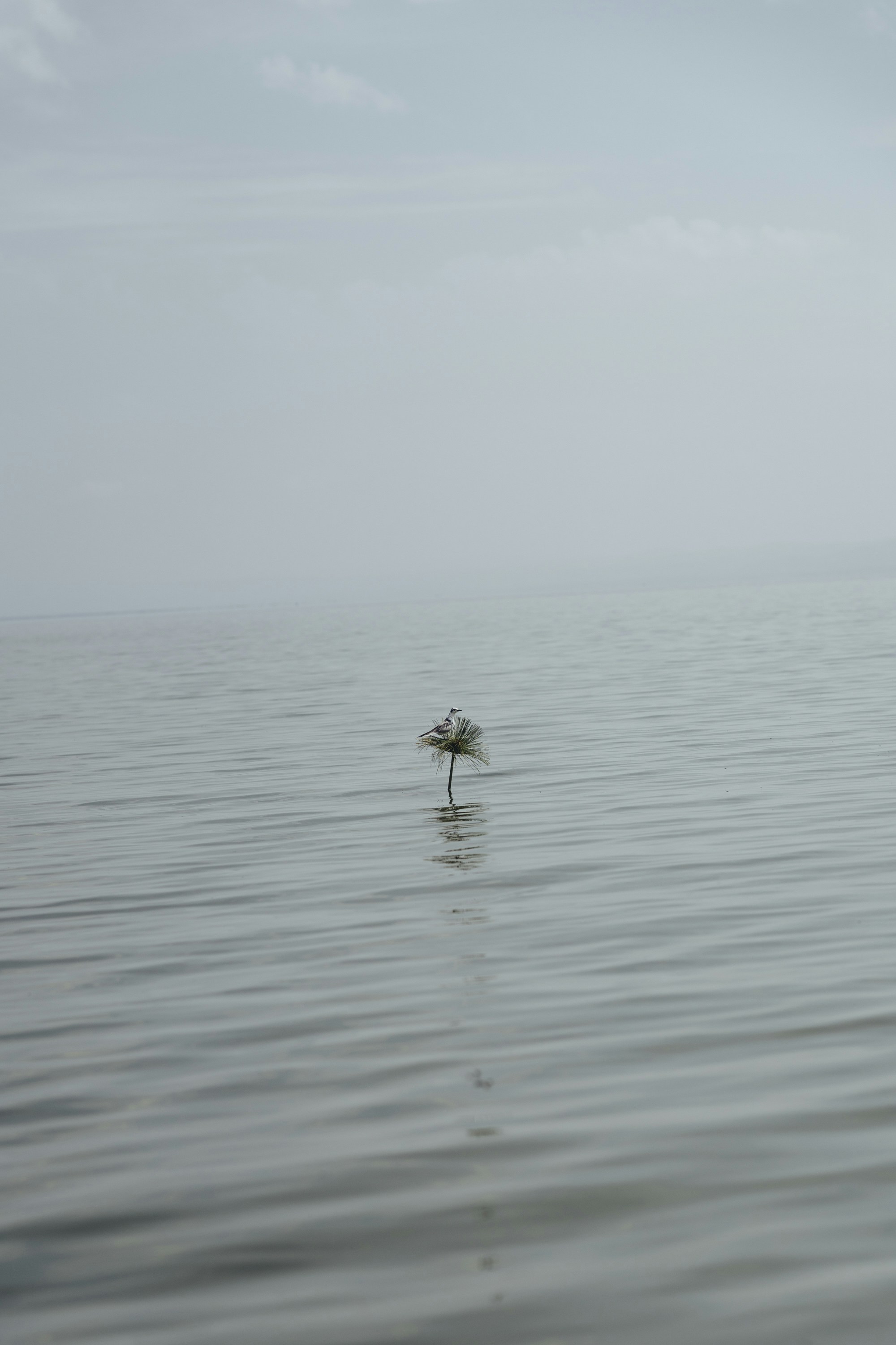 Africa Water Security Conference (AWS-2026): Towards a Water-Secure and Resilient Africa