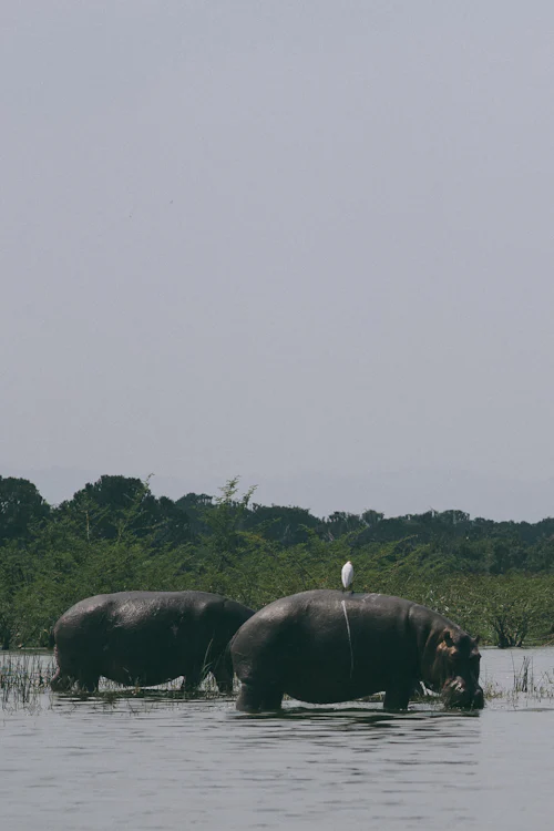 Kidepo Valley landscape