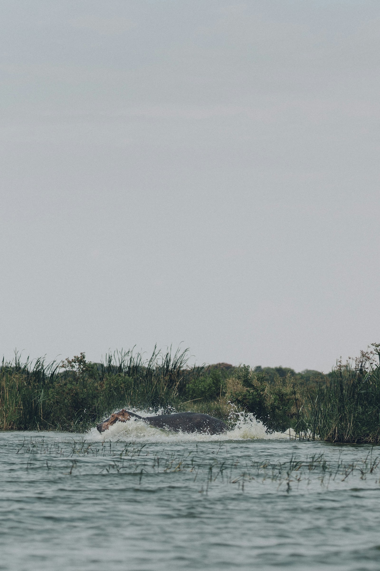 Sony a7R II + Sony FE 85mm F1.4 GM sample photo. Body of water photography