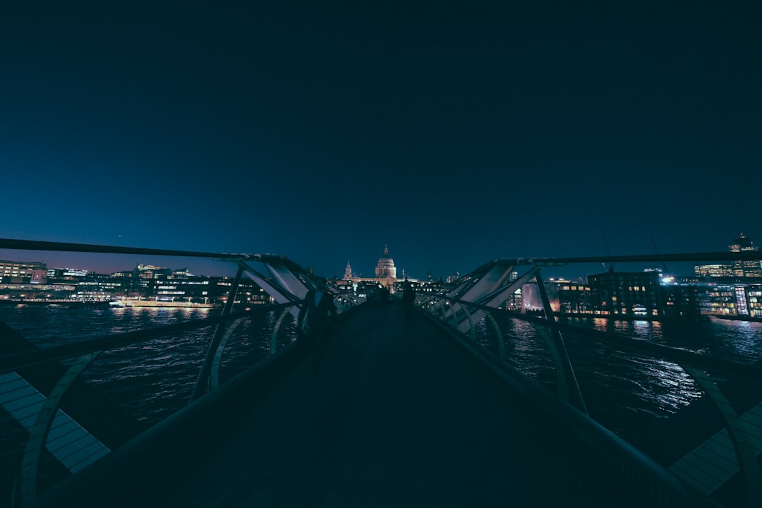 gray metal bridge