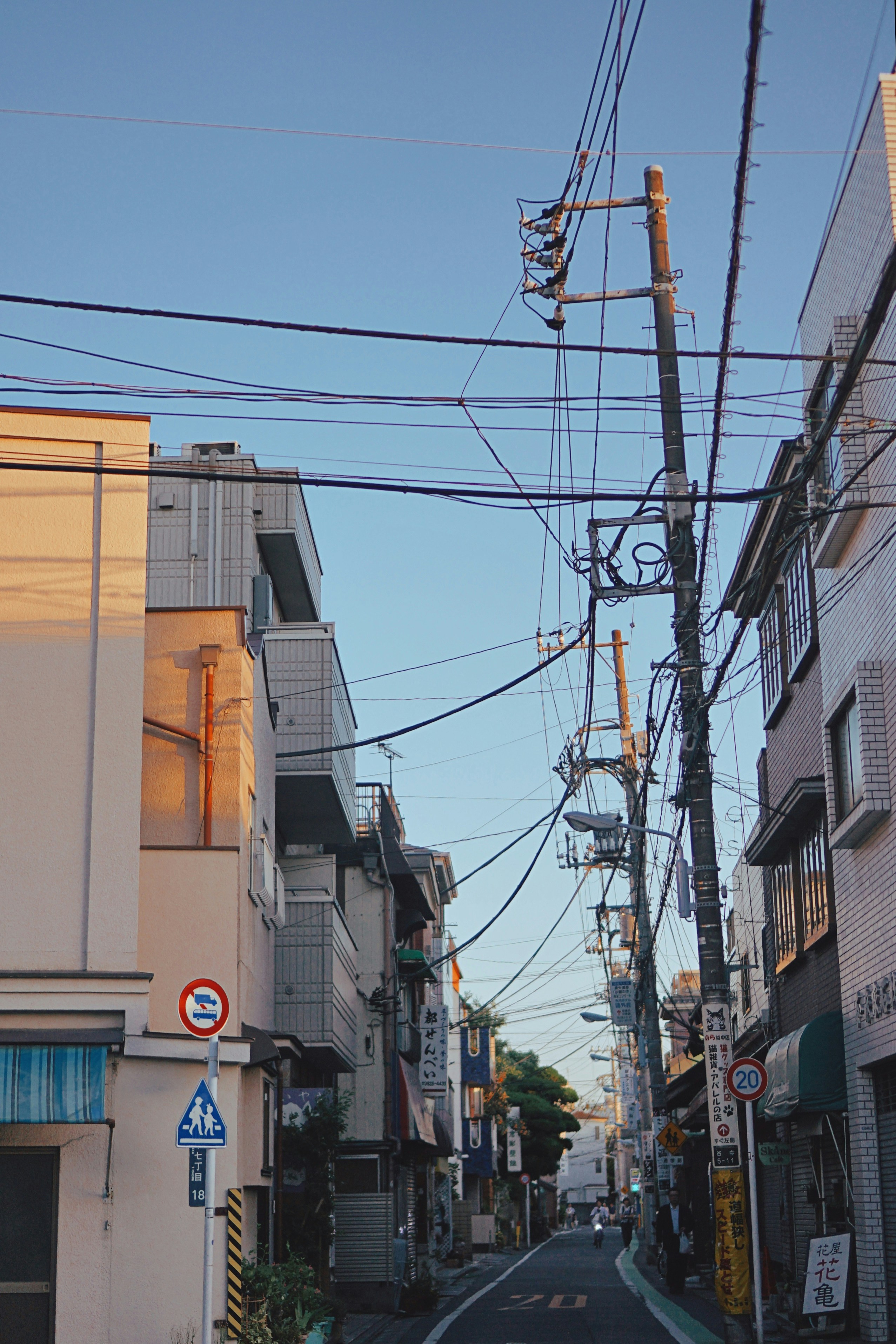 Photo by liaoweimeifang