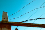 Security wire fencing with strong poles surrounding a farm, showcasing rust-resistant materials under clear sky.