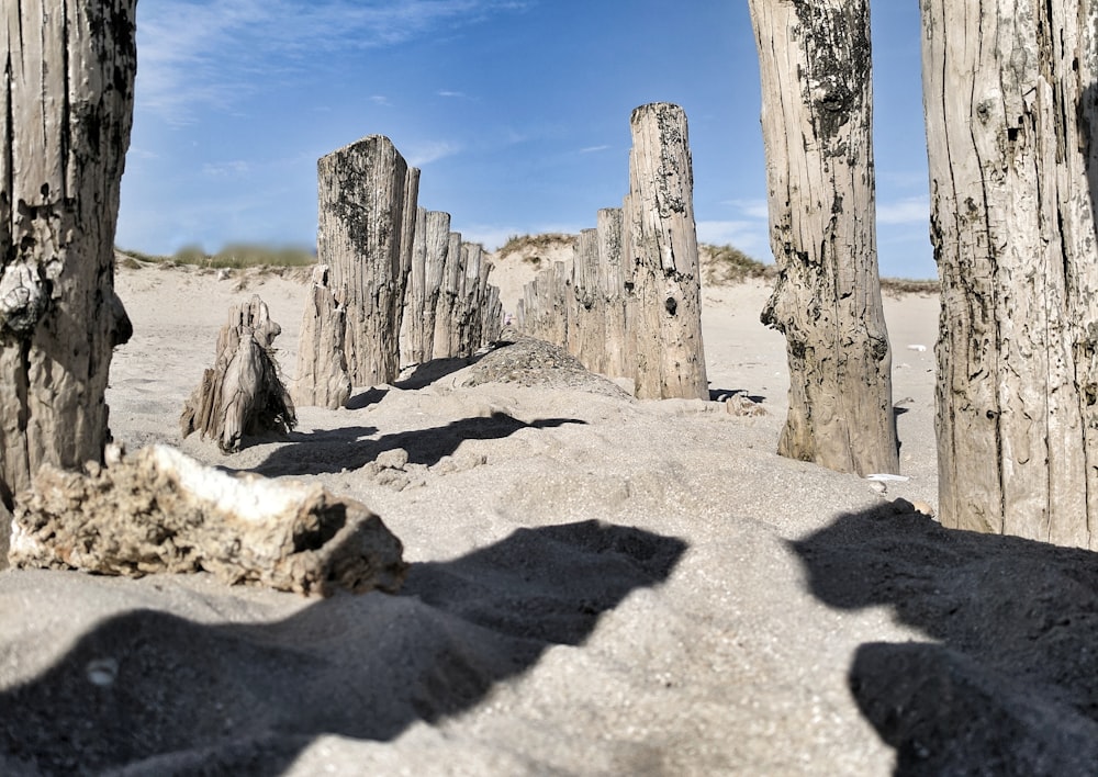 grey posts on sand