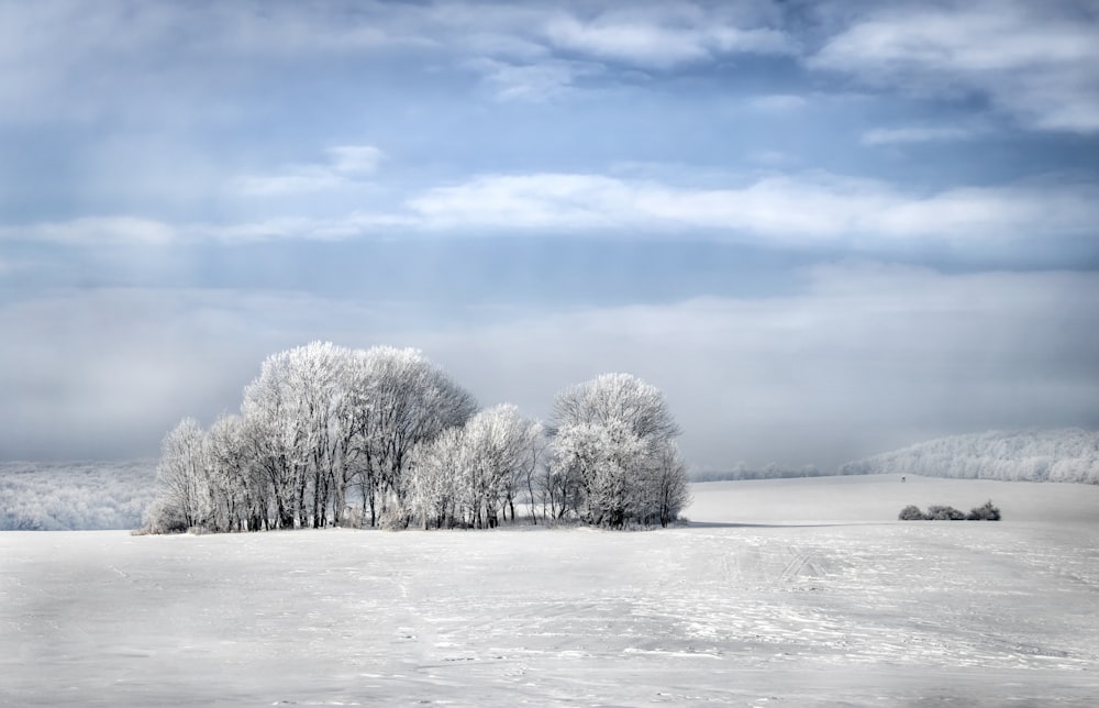 snowy field under clear blue sky during daytime