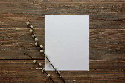 White and red printer paper lot photo – Free Brown Image on Unsplash