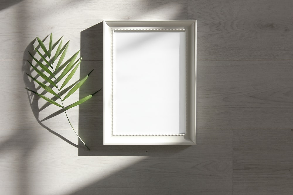 green-leafed beside white photo frame