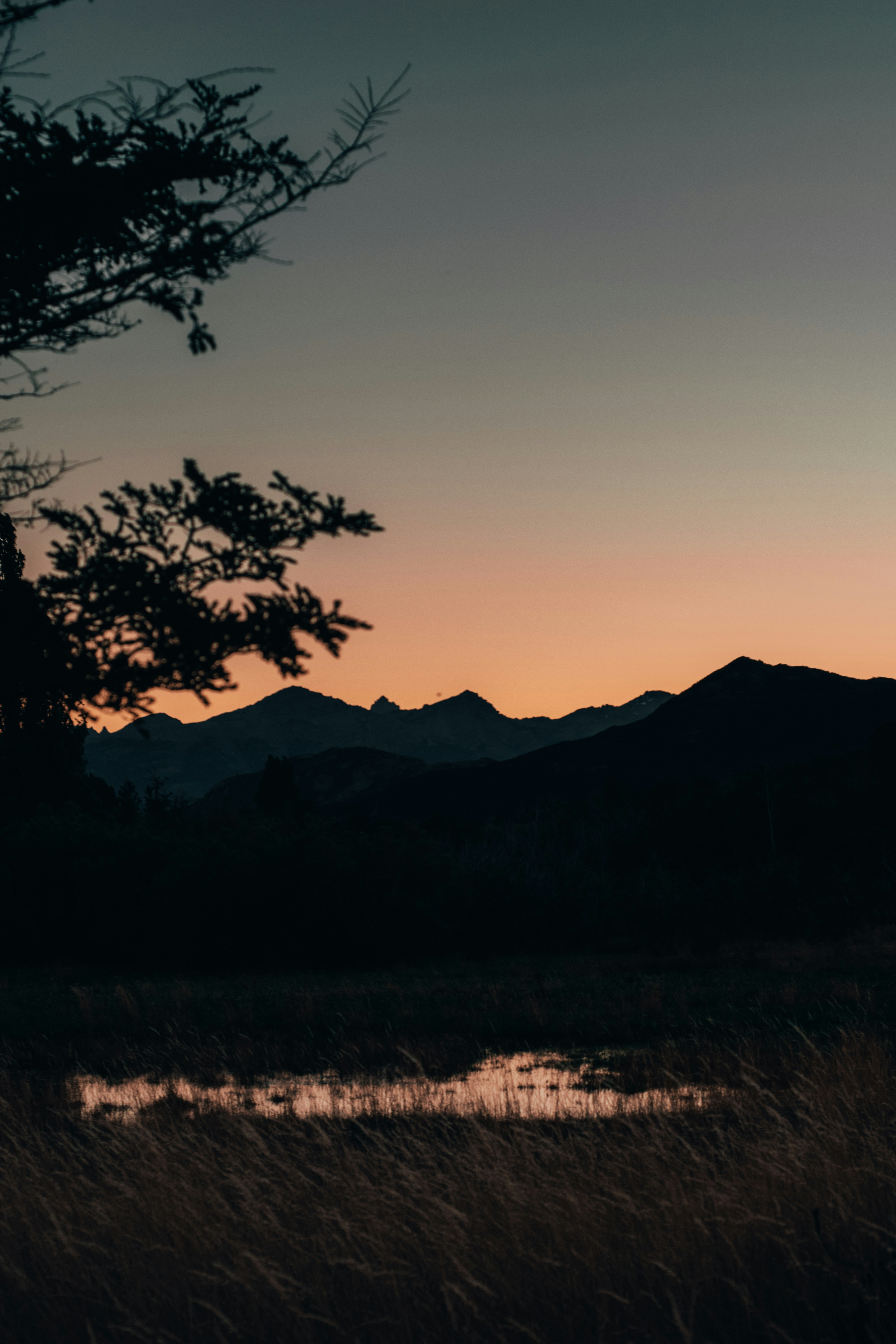 Photo by gasparzaldo