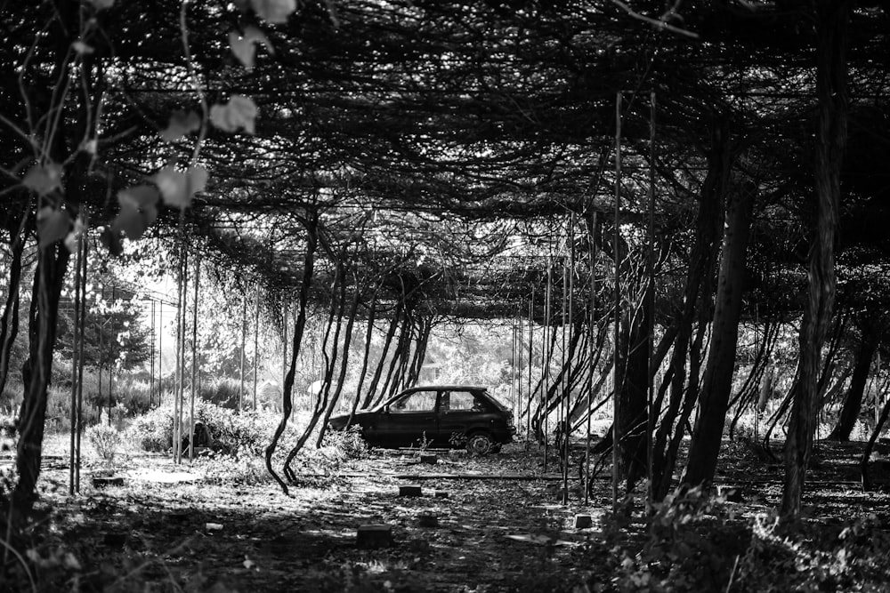 grayscale photography of car surrounded plant