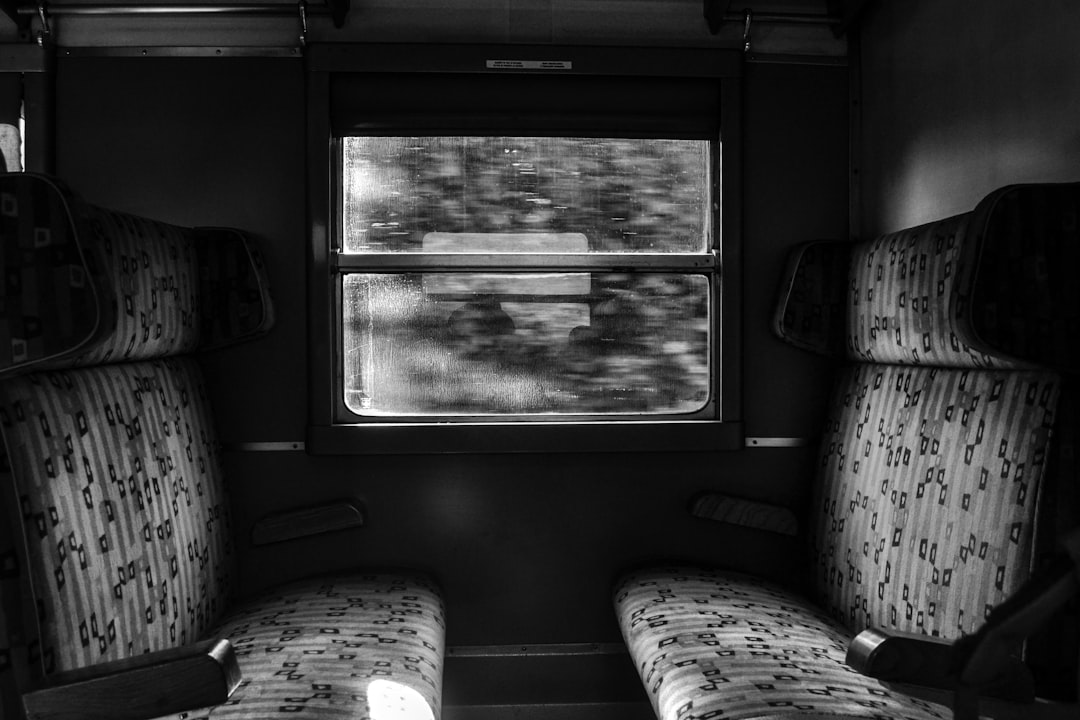grayscale photo of train seat,