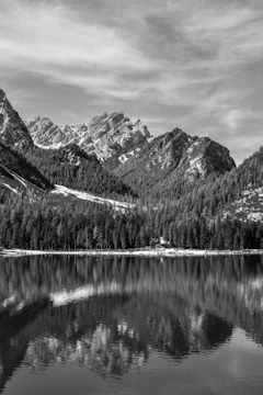 A serene black-and-white photo of a quiet lake reflecting surrounding trees.
