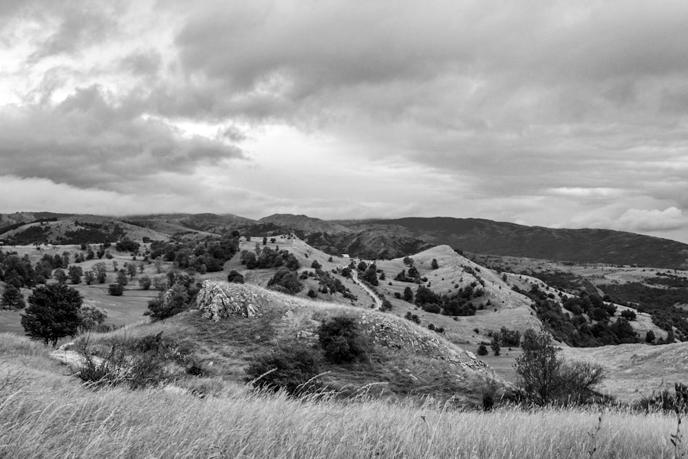 grayscale photography of plants and mountain range