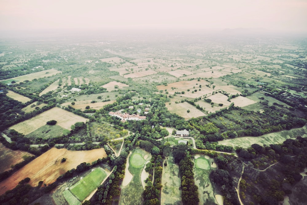 bird's eye view of forest