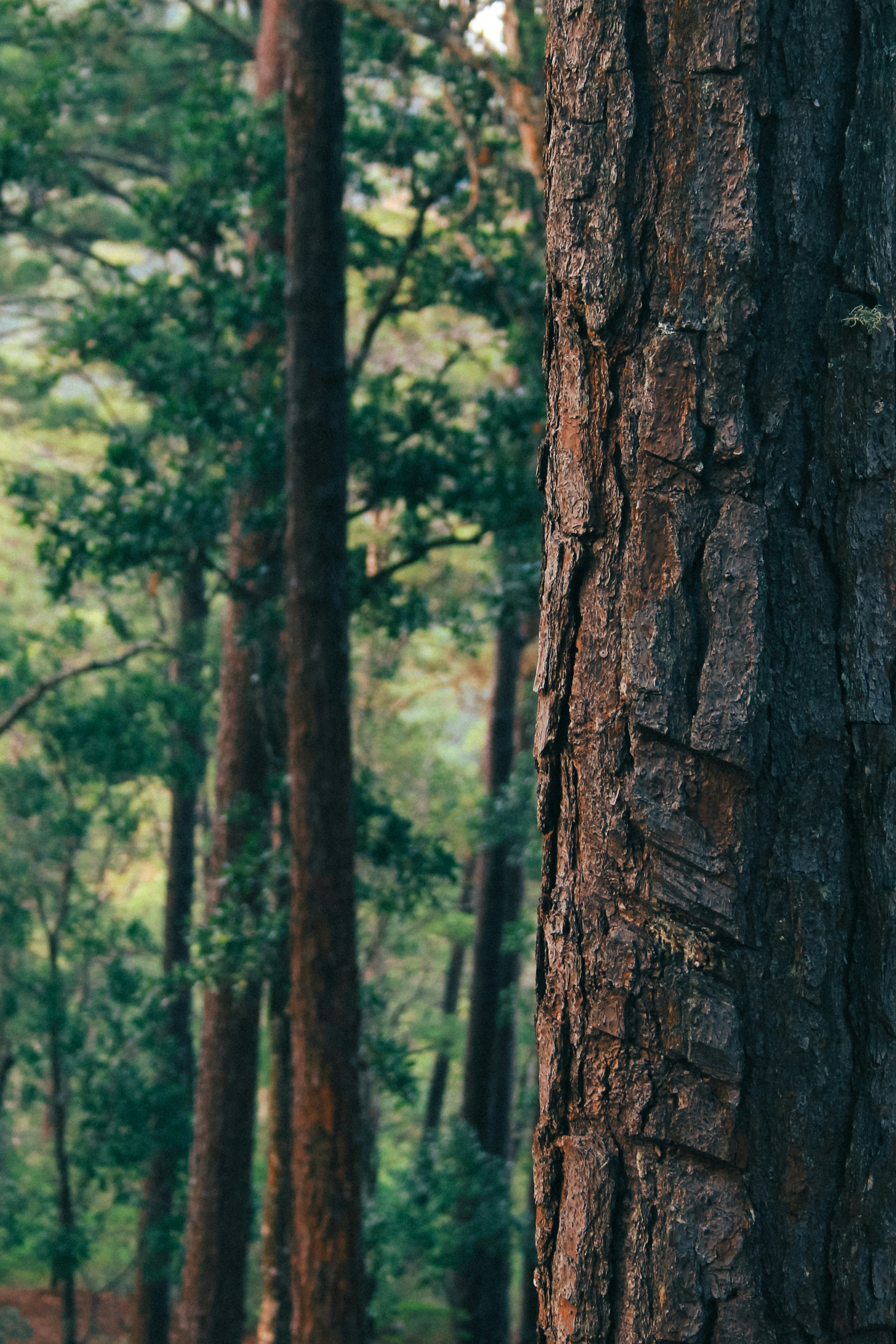 Photo by alejandroalas7536