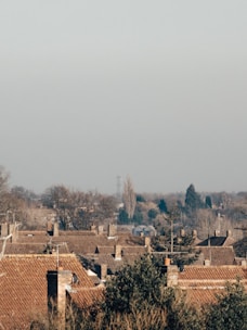 A panoramic view of a suburban area with numerous homes featuring reddish-brown tiled roofs. In the distance, a few tall trees and buildings are visible beneath a hazy, light gray sky. The landscape is dotted with bare trees, indicating a winter or early spring setting.