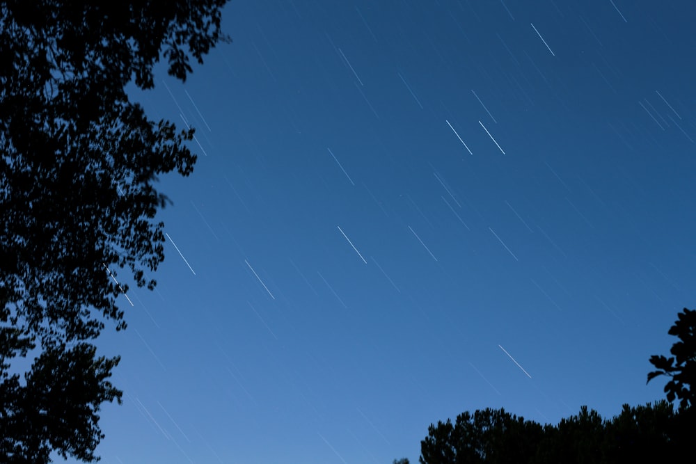 silhouette of trees below blue sky