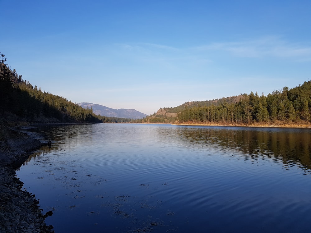 body of water under blue sky