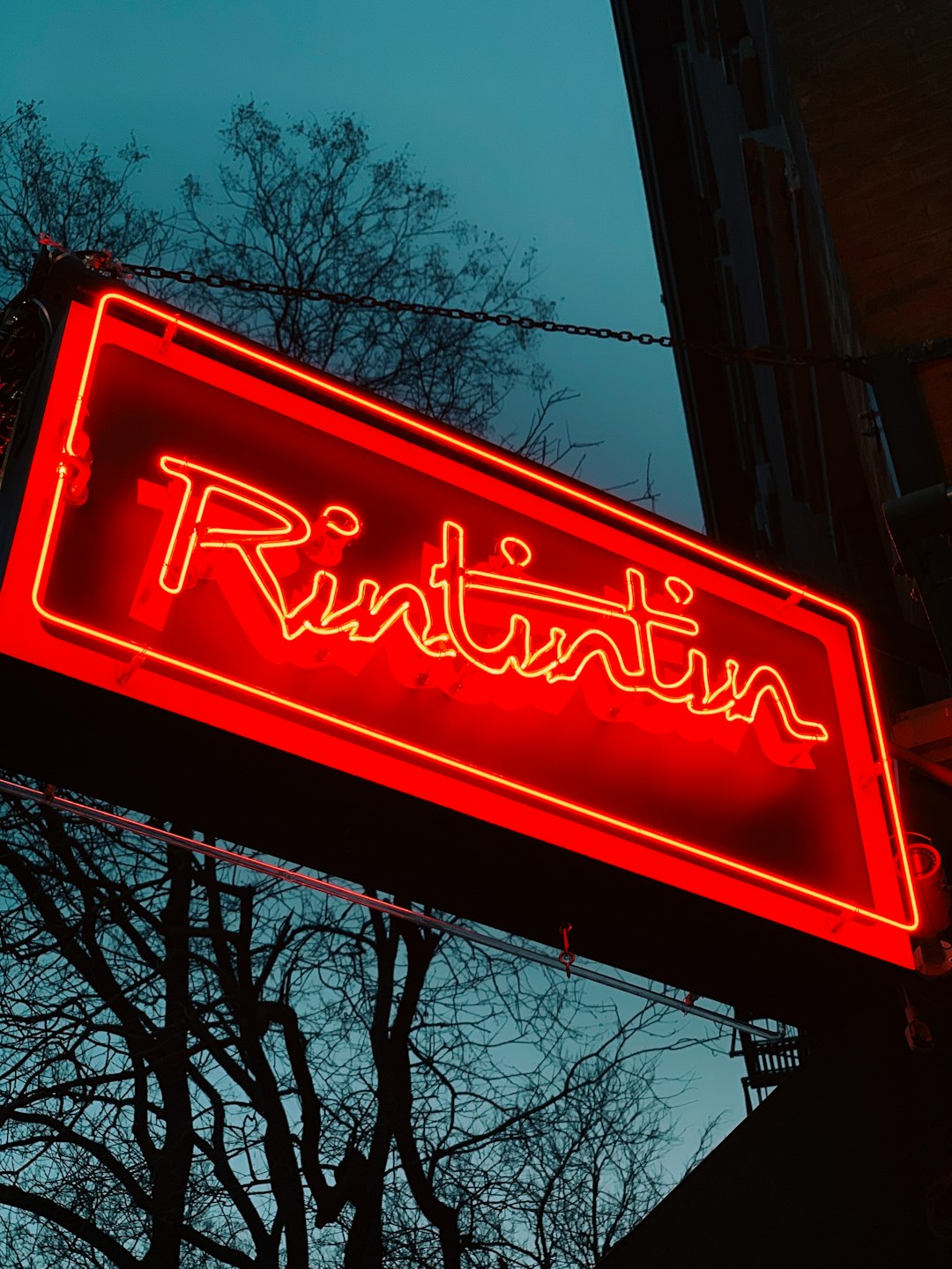 Rintintin neon signage during daytime