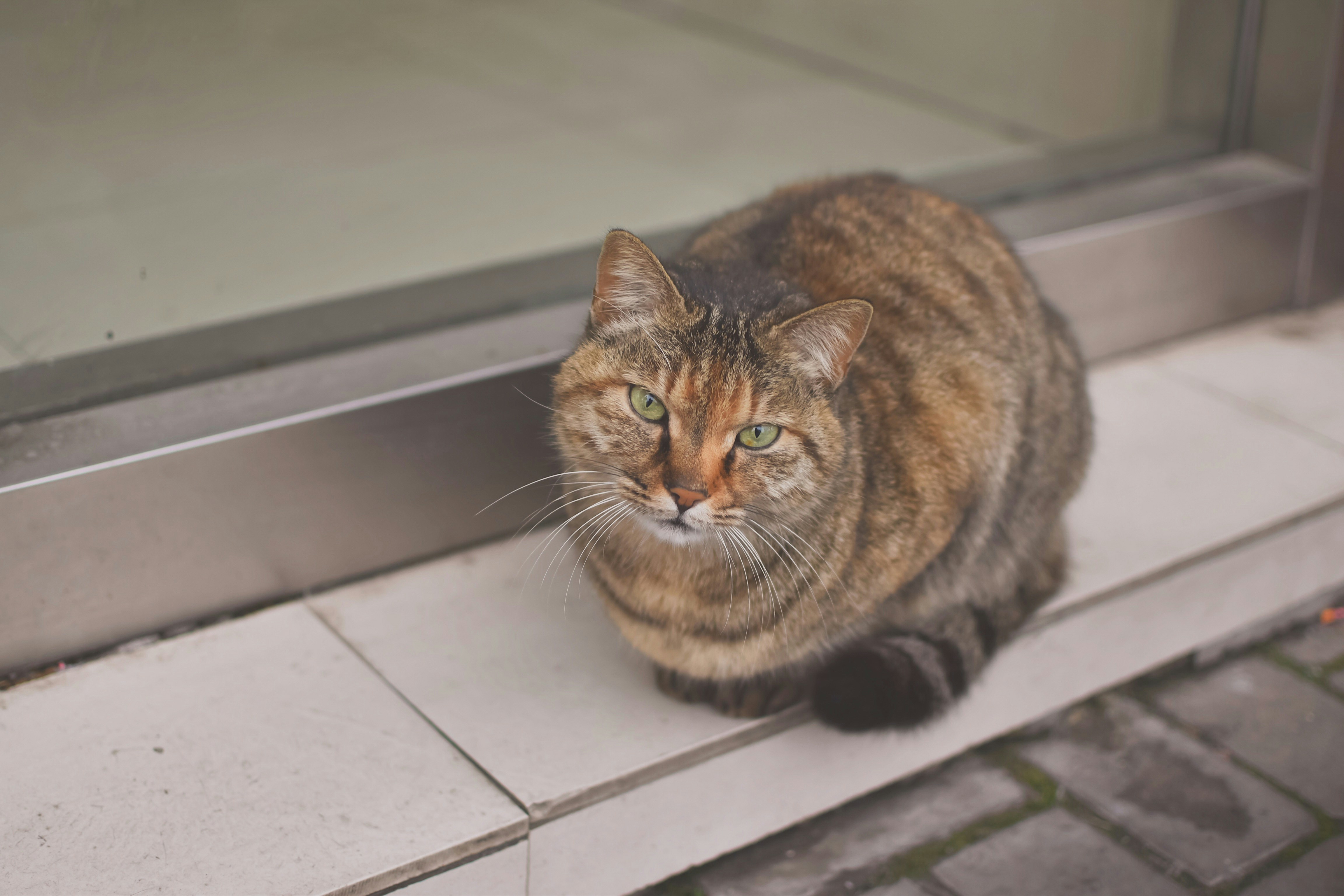 Photo by jizhidexiaohailang