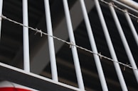 Detailed view of tightly stretched galvanized wire mesh forming a secure barrier around crops