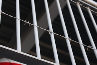 Detailed view of tightly stretched galvanized wire mesh forming a secure barrier around crops