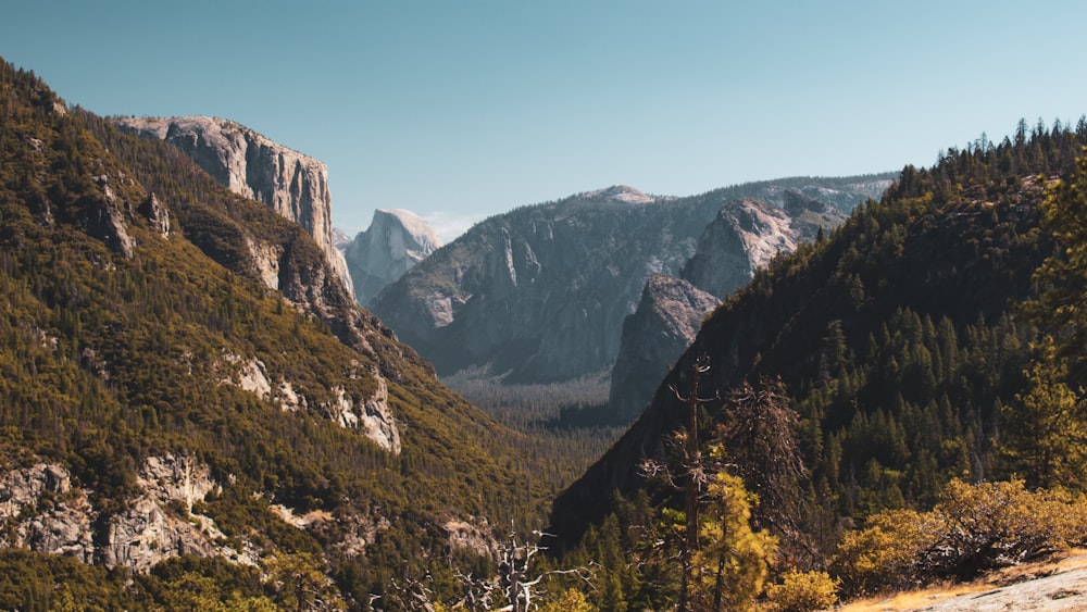 mountains during daytime