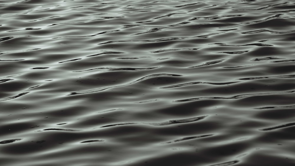 rippling waters