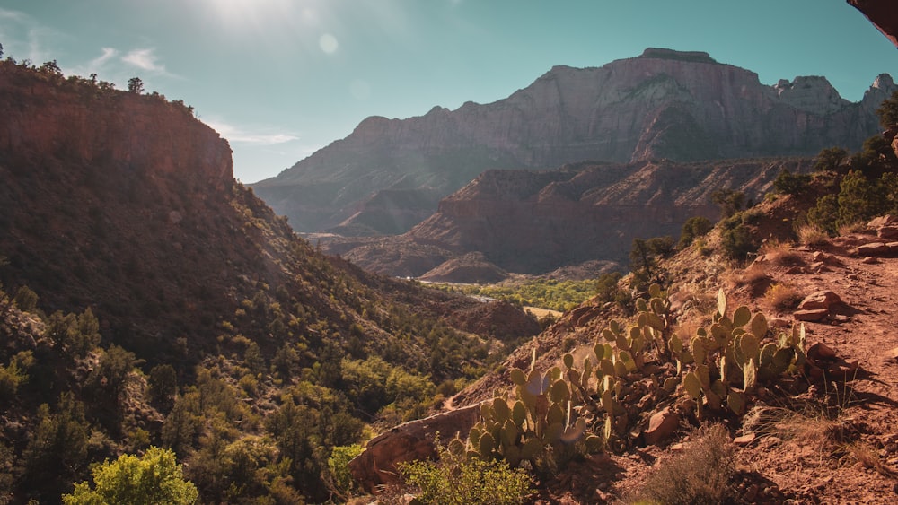 rocky mountainous terrain during daytime