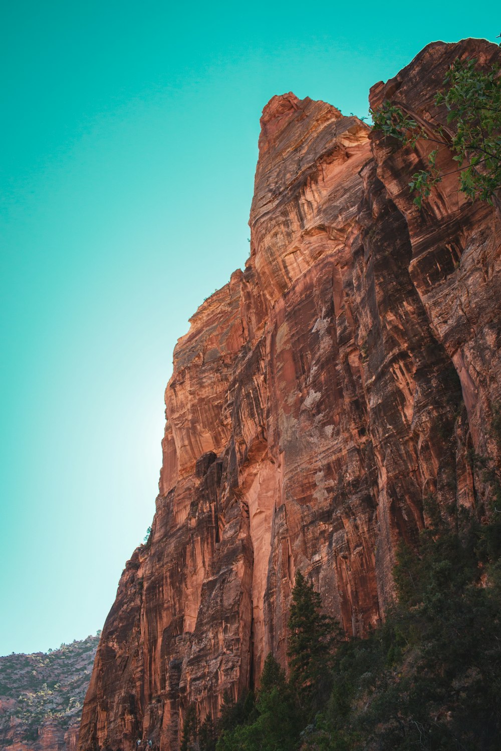 low angle photography of canyon during daytime