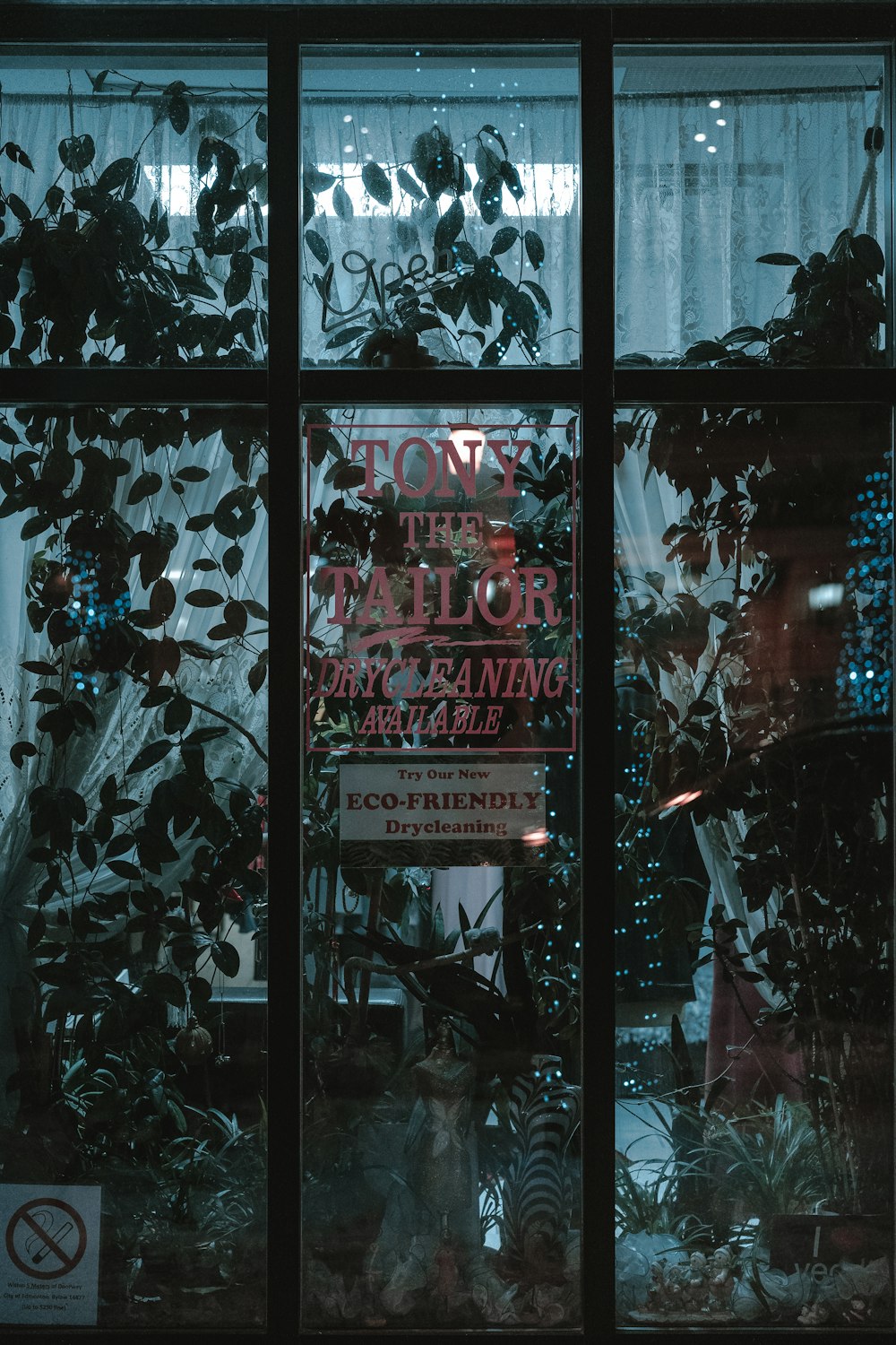 plants inside a glass wall buildings