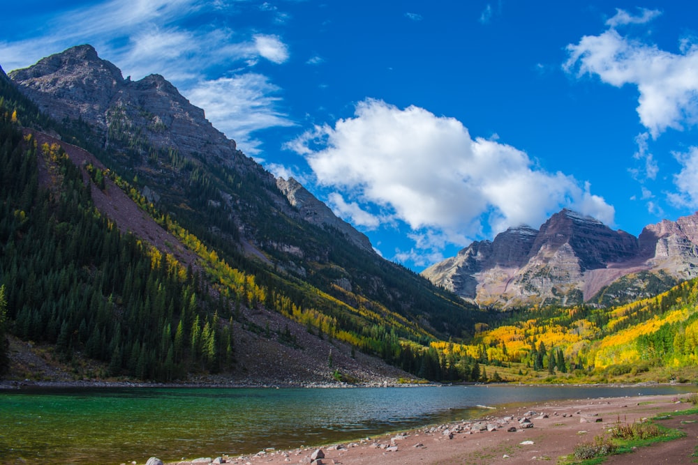 mountain and trees